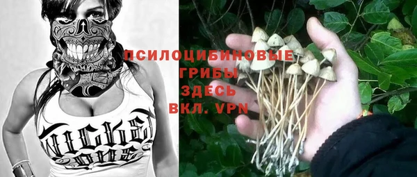 трава Зеленокумск