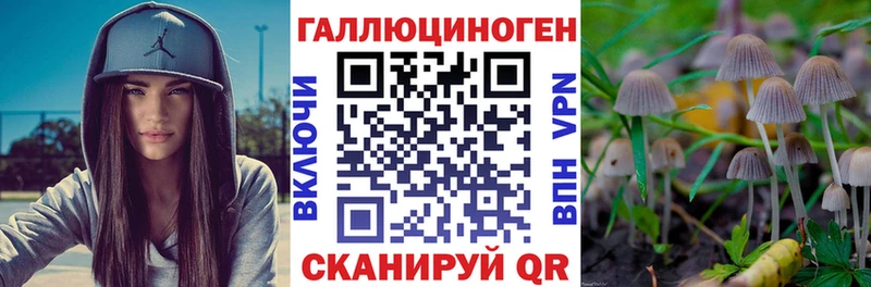 Купить закладки Бирск Псилоцибиновые грибы Magic Shrooms